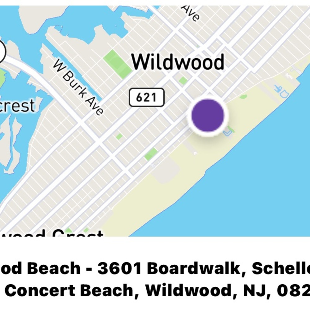 4-Day MSVIP Wristbands - Purple and White - Picture 2 of 2